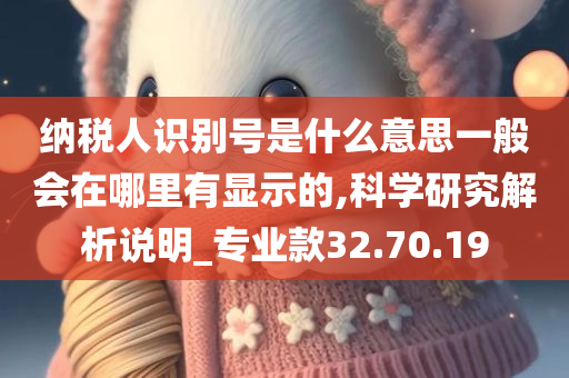 纳税人识别号是什么意思一般会在哪里有显示的,科学研究解析说明_专业款32.70.19