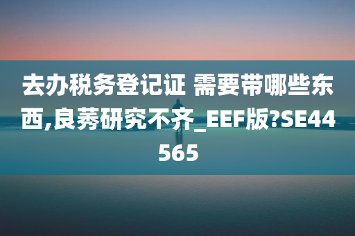 去办税务登记证 需要带哪些东西,良莠研究不齐_EEF版?SE44565