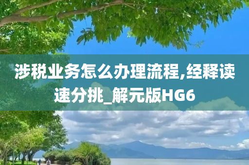 涉税业务怎么办理流程,经释读速分挑_解元版HG6