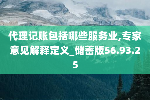 代理记账包括哪些服务业,专家意见解释定义_储蓄版56.93.25