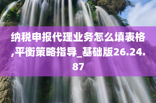 纳税申报代理业务怎么填表格,平衡策略指导_基础版26.24.87