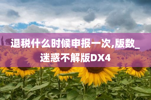 退税什么时候申报一次,版数_迷惑不解版DX4