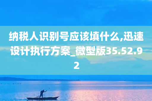 纳税人识别号应该填什么,迅速设计执行方案_微型版35.52.92