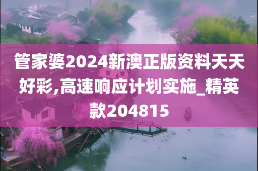 管家婆2024新澳正版资料天天好彩,高速响应计划实施_精英款204815