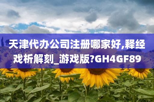 天津代办公司注册哪家好,释经戏析解刻_游戏版?GH4GF89