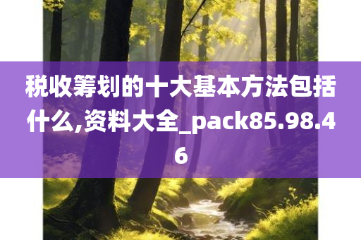 税收筹划的十大基本方法包括什么,资料大全_pack85.98.46