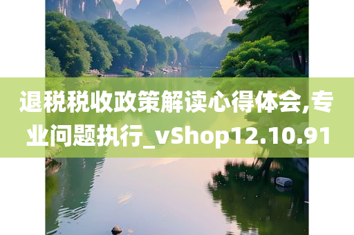 退税税收政策解读心得体会,专业问题执行_vShop12.10.91