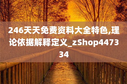 246天天免费资料大全特色,理论依据解释定义_zShop447334