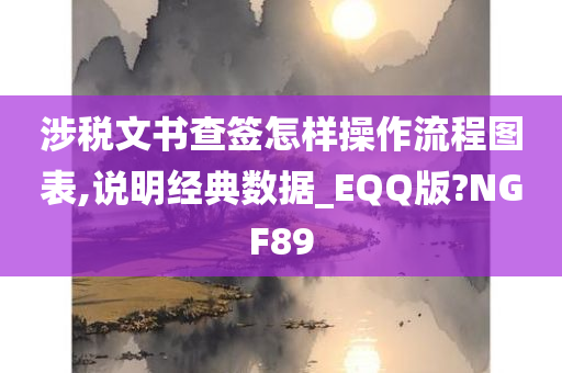 涉税文书查签怎样操作流程图表,说明经典数据_EQQ版?NGF89