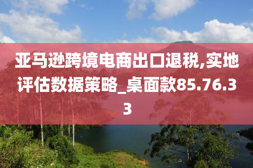 亚马逊跨境电商出口退税,实地评估数据策略_桌面款85.76.33