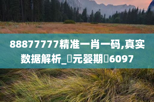 88877777精准一肖一码,真实数据解析_‌元婴期‌6097