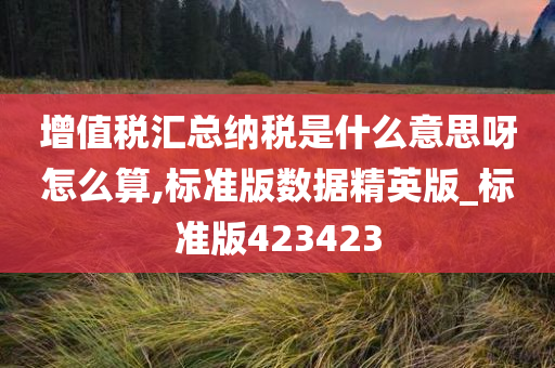 增值税汇总纳税是什么意思呀怎么算,标准版数据精英版_标准版423423