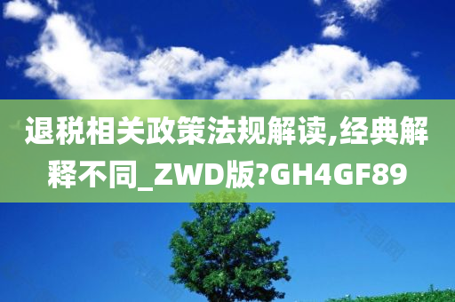 退税相关政策法规解读,经典解释不同_ZWD版?GH4GF89