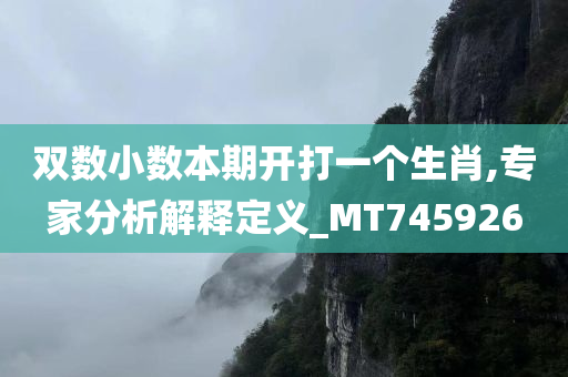 双数小数本期开打一个生肖,专家分析解释定义_MT745926