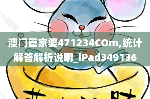 澳门管家婆471234COm,统计解答解析说明_iPad349136