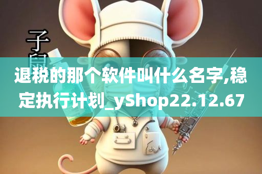 退税的那个软件叫什么名字,稳定执行计划_yShop22.12.67