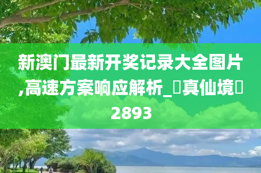 新澳门最新开奖记录大全图片,高速方案响应解析_‌真仙境‌2893