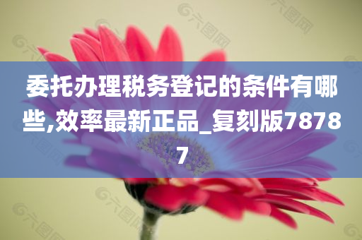 委托办理税务登记的条件有哪些,效率最新正品_复刻版78787