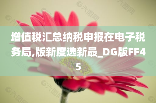 增值税汇总纳税申报在电子税务局,版新度选新最_DG版FF45