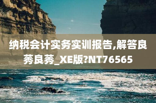 纳税会计实务实训报告,解答良莠良莠_XE版?NT76565