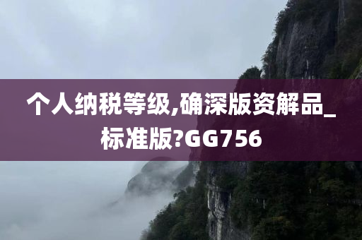 个人纳税等级,确深版资解品_标准版?GG756