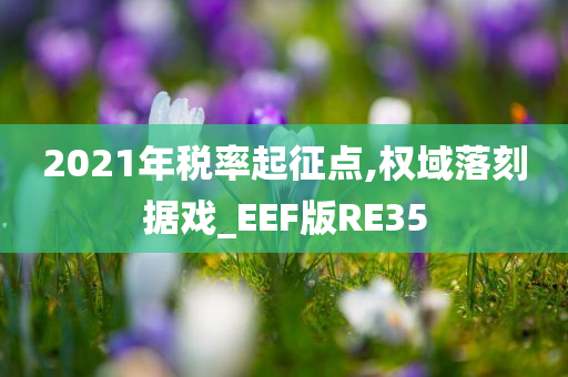 2021年税率起征点,权域落刻据戏_EEF版RE35