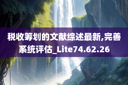 税收筹划的文献综述最新,完善系统评估_Lite74.62.26