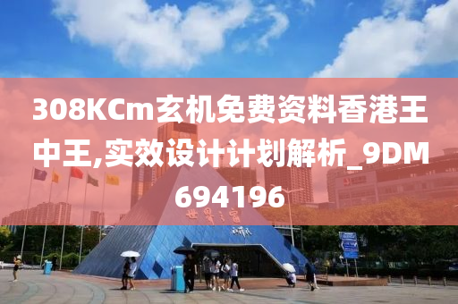 308KCm玄机免费资料香港王中王,实效设计计划解析_9DM694196