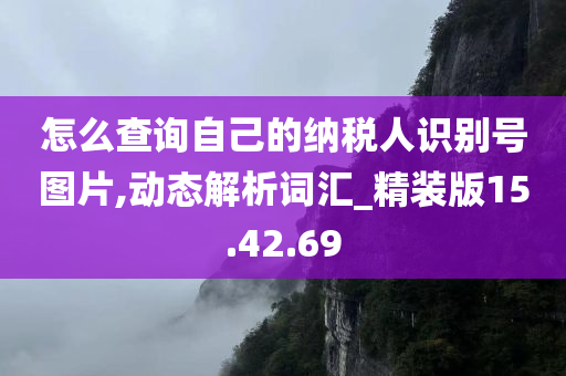 怎么查询自己的纳税人识别号图片,动态解析词汇_精装版15.42.69