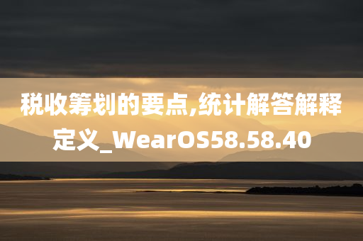 税收筹划的要点,统计解答解释定义_WearOS58.58.40