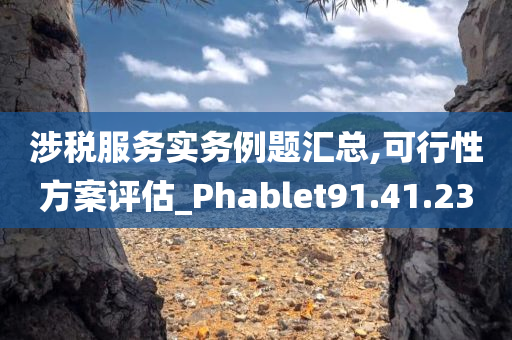 涉税服务实务例题汇总,可行性方案评估_Phablet91.41.23