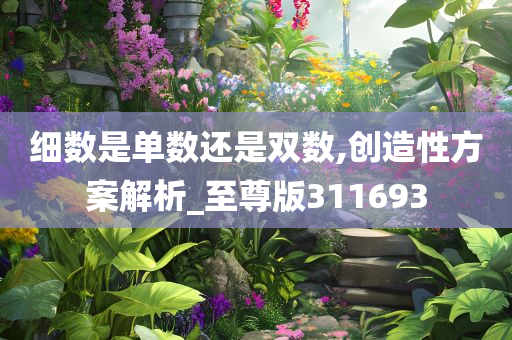 细数是单数还是双数,创造性方案解析_至尊版311693