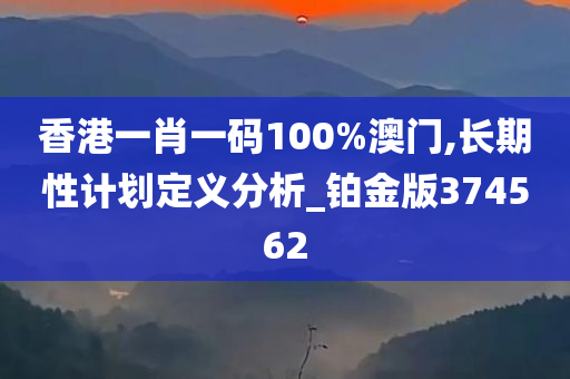 香港一肖一码100%澳门,长期性计划定义分析_铂金版374562