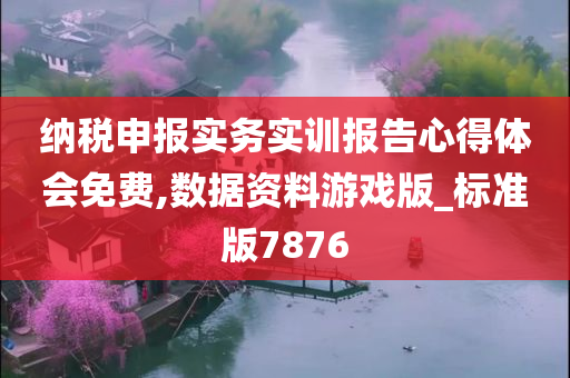 纳税申报实务实训报告心得体会免费,数据资料游戏版_标准版7876