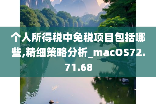 个人所得税中免税项目包括哪些,精细策略分析_macOS72.71.68