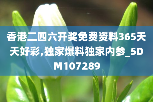 香港二四六开奖免费资料365天天好彩,独家爆料独家内参_5DM107289