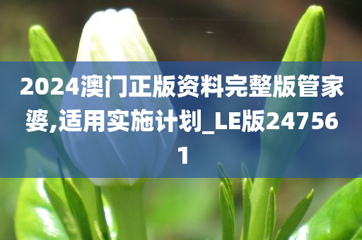 2024澳门正版资料完整版管家婆,适用实施计划_LE版247561