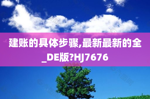 建账的具体步骤,最新最新的全_DE版?HJ7676