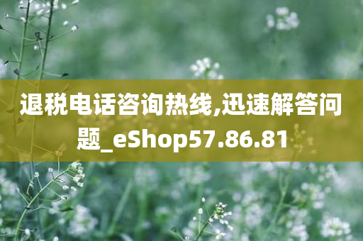 退税电话咨询热线,迅速解答问题_eShop57.86.81