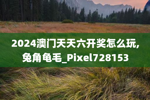 2024澳门天天六开奖怎么玩,兔角龟毛_Pixel728153