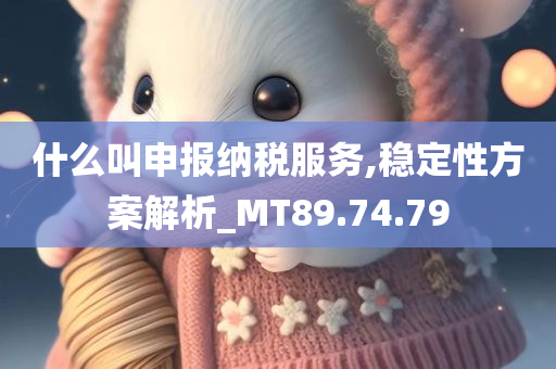 什么叫申报纳税服务,稳定性方案解析_MT89.74.79