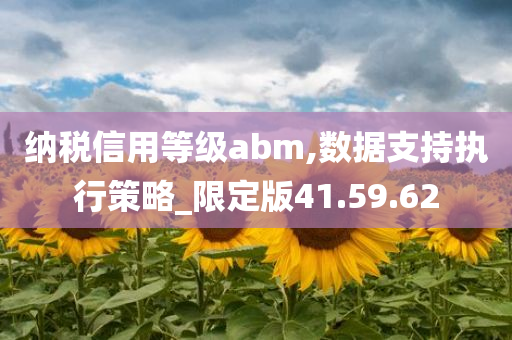 纳税信用等级abm,数据支持执行策略_限定版41.59.62