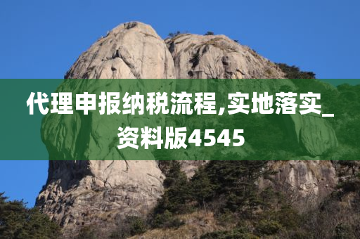 代理申报纳税流程,实地落实_资料版4545