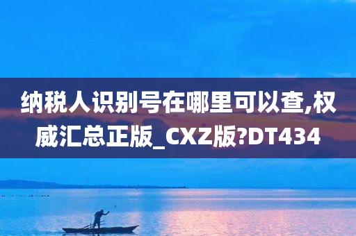 纳税人识别号在哪里可以查,权威汇总正版_CXZ版?DT434