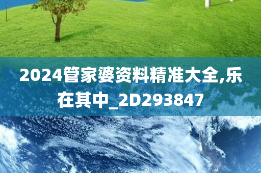 2024管家婆资料精准大全,乐在其中_2D293847