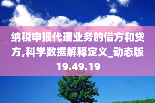 纳税申报代理业务的借方和贷方,科学数据解释定义_动态版19.49.19