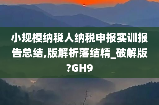 小规模纳税人纳税申报实训报告总结,版解析落结精_破解版?GH9