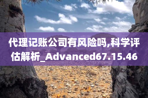 代理记账公司有风险吗,科学评估解析_Advanced67.15.46