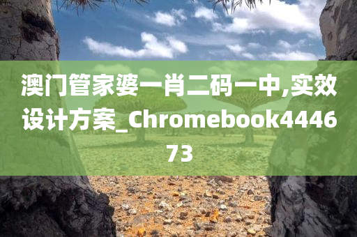 澳门管家婆一肖二码一中,实效设计方案_Chromebook444673