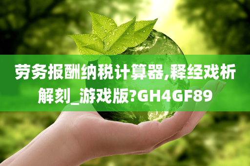 劳务报酬纳税计算器,释经戏析解刻_游戏版?GH4GF89